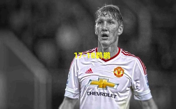 17-18鹈鹕
