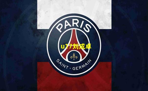 u17刘成卓