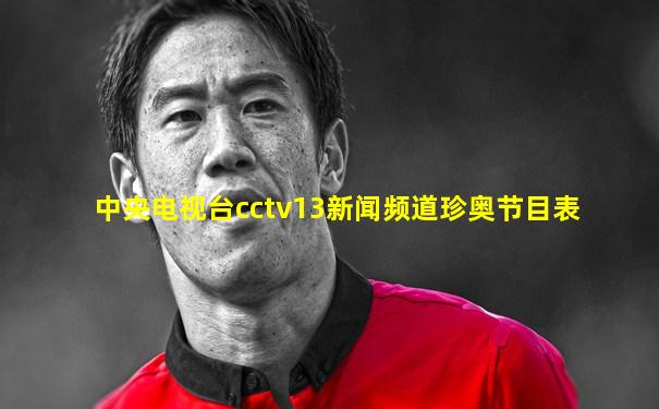 中央电视台cctv13新闻频道珍奥节目表