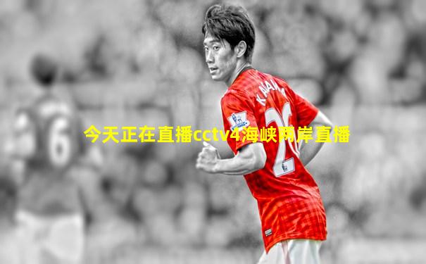 今天正在直播cctv4海峡两岸直播