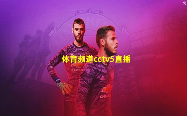 体育频道cctv5直播