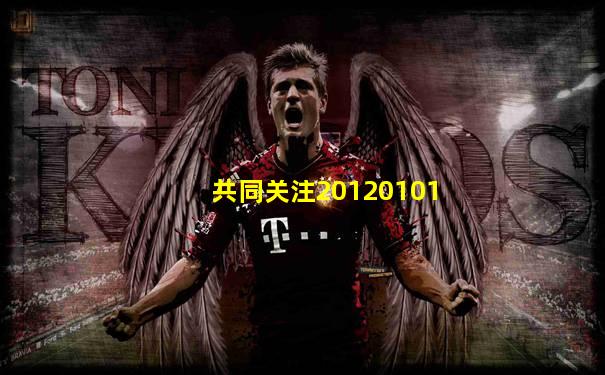 共同关注20120101