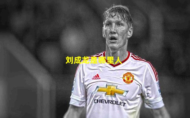刘成龙是哪里人