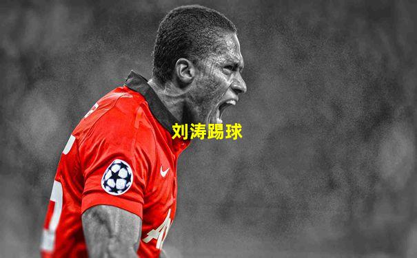 刘涛踢球