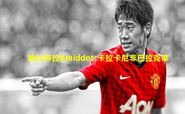 哈比布拉·卡拉卡尼非巴拉克宰