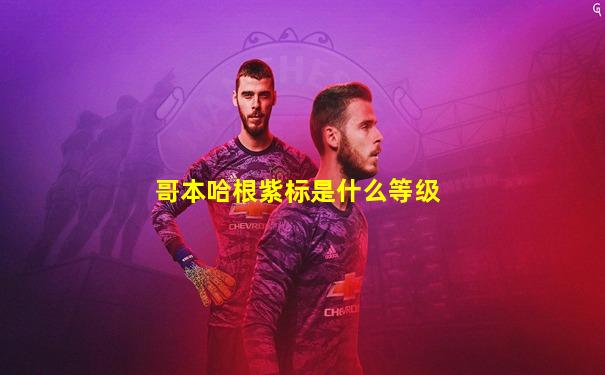 哥本哈根紫标是什么等级