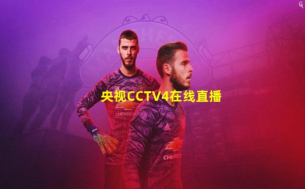 央视CCTV4在线直播