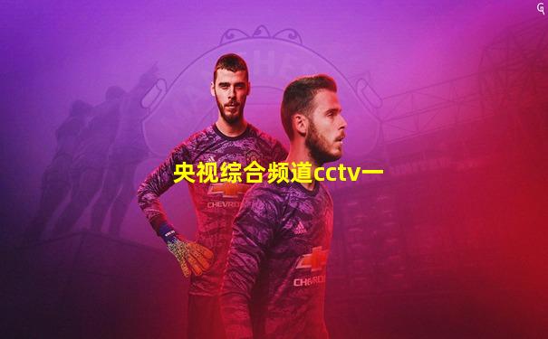 央视综合频道cctv一