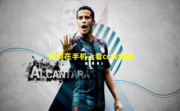 如何在手机上看cctv频道