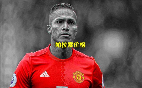 帕拉索价格