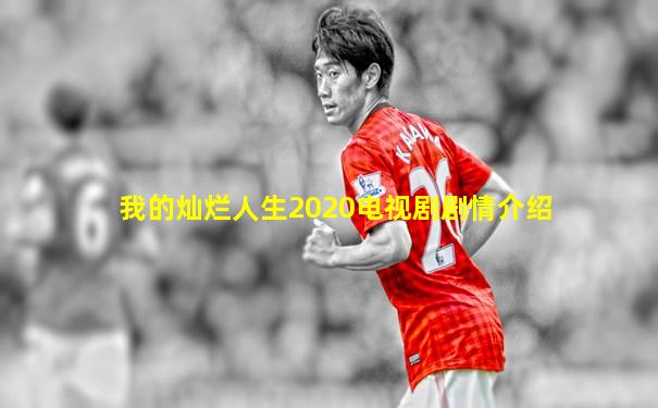 我的灿烂人生2020电视剧剧情介绍