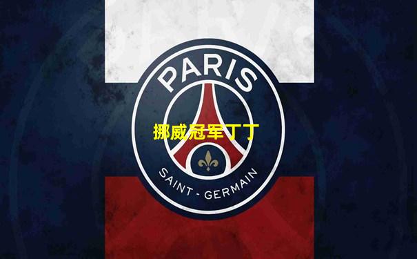 挪威冠军丁丁