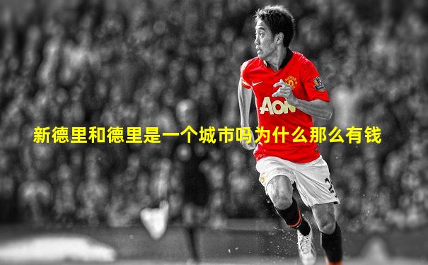 新德里和德里是一个城市吗为什么那么有钱