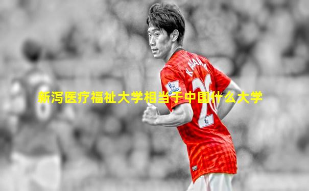 新泻医疗福祉大学相当于中国什么大学