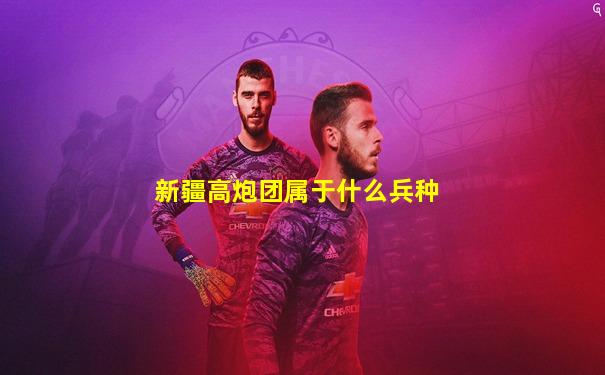 新疆高炮团属于什么兵种