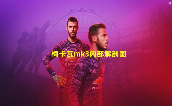 梅卡瓦mk3内部解剖图