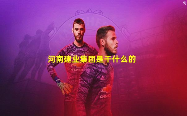 河南建业集团是干什么的