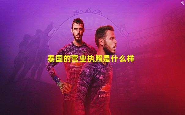 泰国的营业执照是什么样
