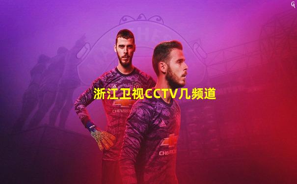 浙江卫视CCTV几频道