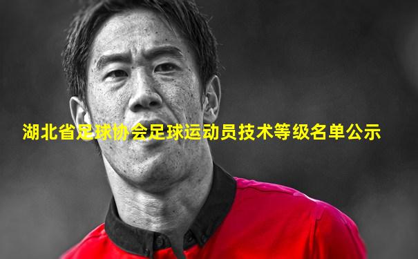 湖北省足球协会足球运动员技术等级名单公示