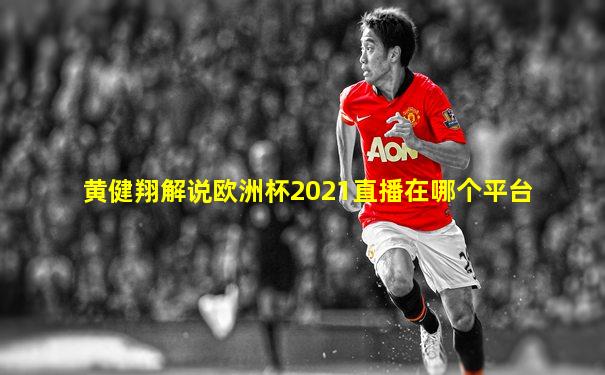 黄健翔解说欧洲杯2021直播在哪个平台