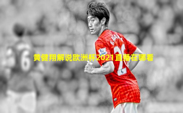 黄健翔解说欧洲杯2021直播在哪看
