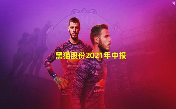 黑猫股份2021年中报