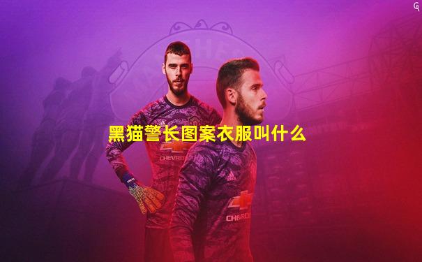 黑猫警长图案衣服叫什么